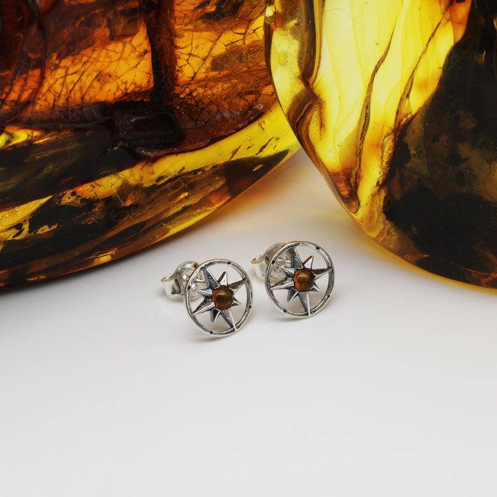 Cognac Amber Compass Earrings