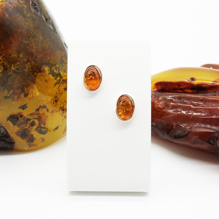 Cognac Amber Stud Earrings