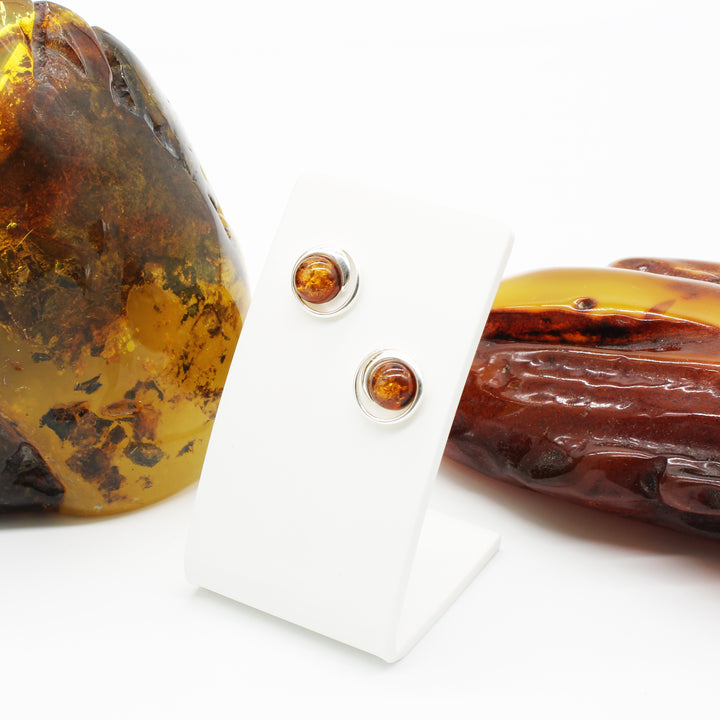 Cognac Amber Stud Earrings